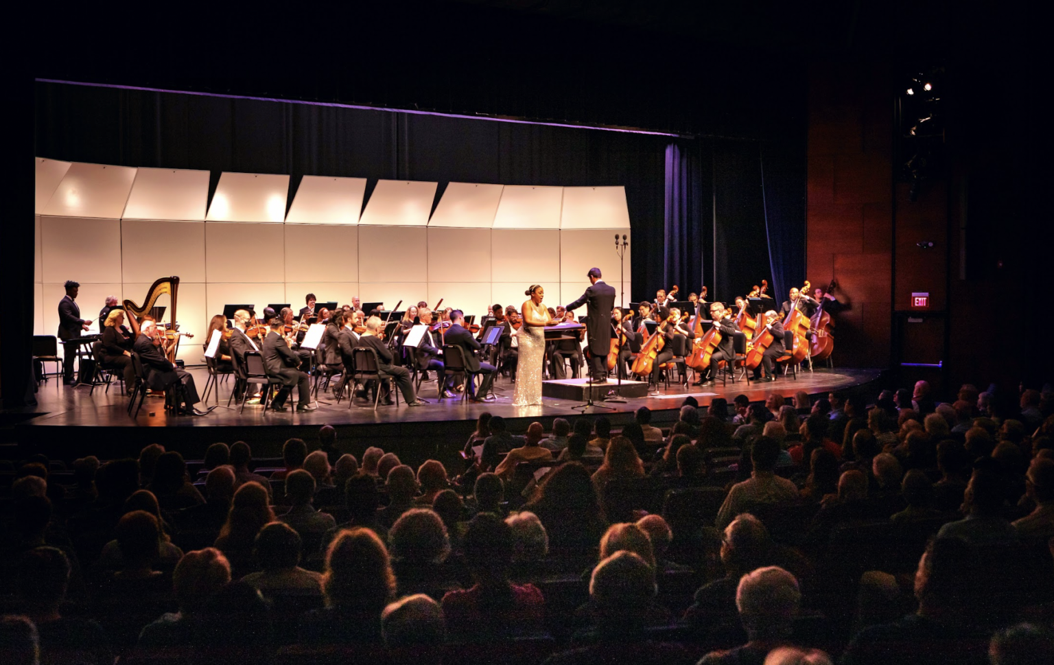 Join us for our 59th season! - DeKalb Symphony Orchestra